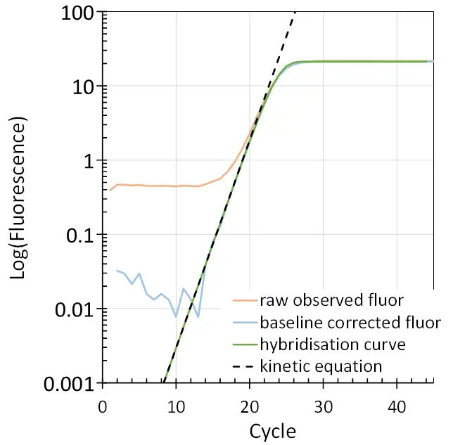 Fit of amplification curves to the kinetic equation of PCR and the hybridisation-based curve
